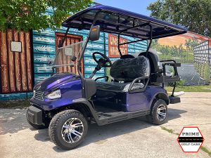 boca raton golf cart repairs, golf cart service, mobile repair