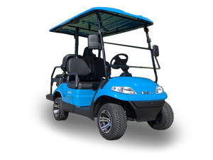 golf cart repair service, boca raton cart repair pickup, golf cart inspection